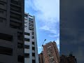 台北市區超級熱 #炎熱 #台北市 #taipei #松山區 #台灣 #taiwan #好天氣 #sky #clouds #shorts #短片 #2026 #休息 #rest #heat