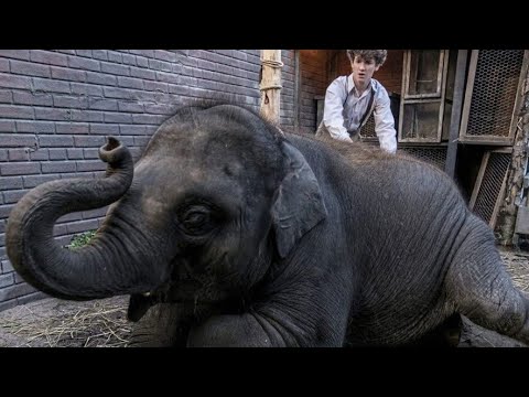 Bragi Cinema: Ian McElhinney Zoo Interview. @LeagueOne