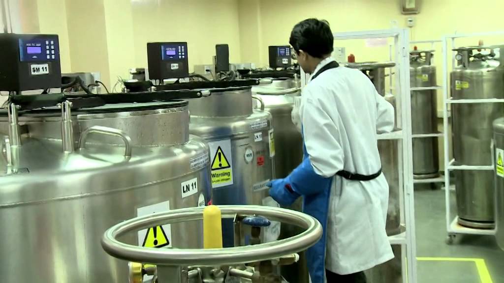 Umbilical Cord Blood Storage Cryoviva YouTube