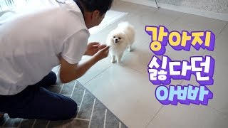 ENG SUB _ What happened to my dad who hated a puppy / On the way to Jeju Island