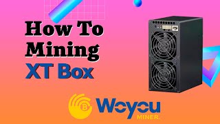 Goldshell Xt Box Setup Guide Connect, Unlock Start Mining In Minutes