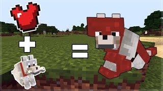 How To RIDE & ARMOR WOLF In Minecraft Pocket Edition (New Addon) screenshot 5