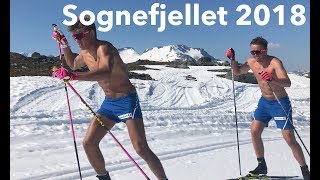 Sognefjellet 2018 | Vlog 22²