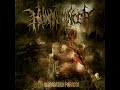 Human mincer  degradation paradox full album