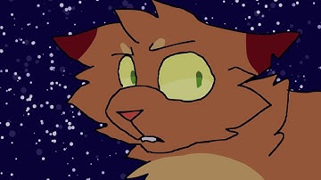 [ WHO WE ARE ] Warriors MAP part 11