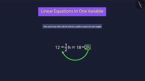 Solving Linear Equations in one variable: Part 2 | Part2/3 | English | Class8