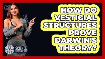 How Do Vestigial Structures Prove Darwin