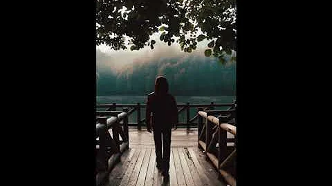 VACAY VIDEO by Alice Dailey