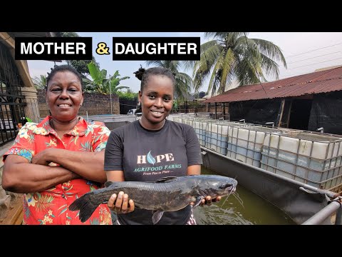 How a Mother & Daughter Built a Profitable Fish Farm at Home in Nigeria 