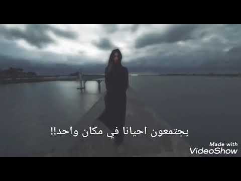 هولاء هم الاقارب عقارب