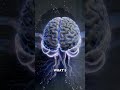 Why you suddenly forget why you walked into a room#Shorts#MindBlow #facts #BrainFacts#DidYouKnow#