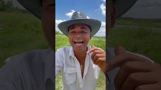 Andam Falando Por Aí Que Cachaça Mata Ó