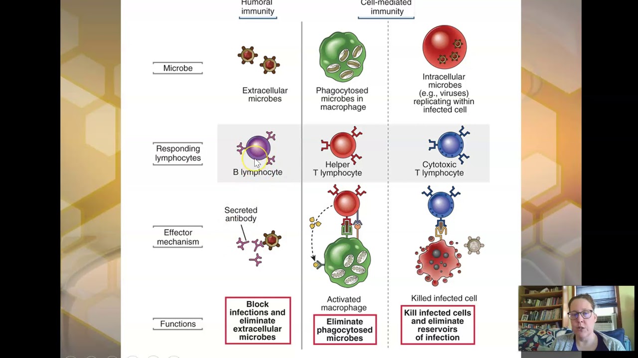 Clinical Chemistry Immune system diseases