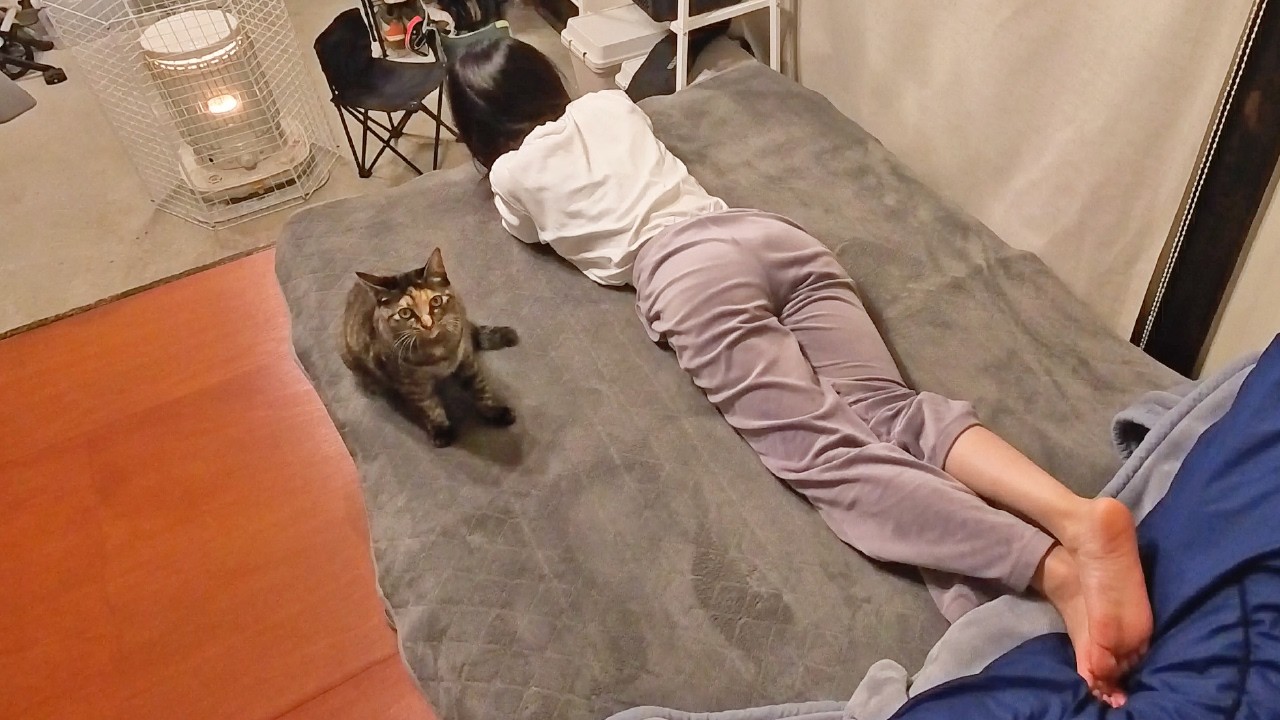 Жизнь в японском загородном доме с моим разговорчивым котом | EcoFlow