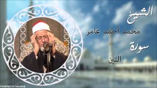 سورة التين الشيخ محمد أحمد عامر