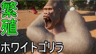 mqdefault.jpg