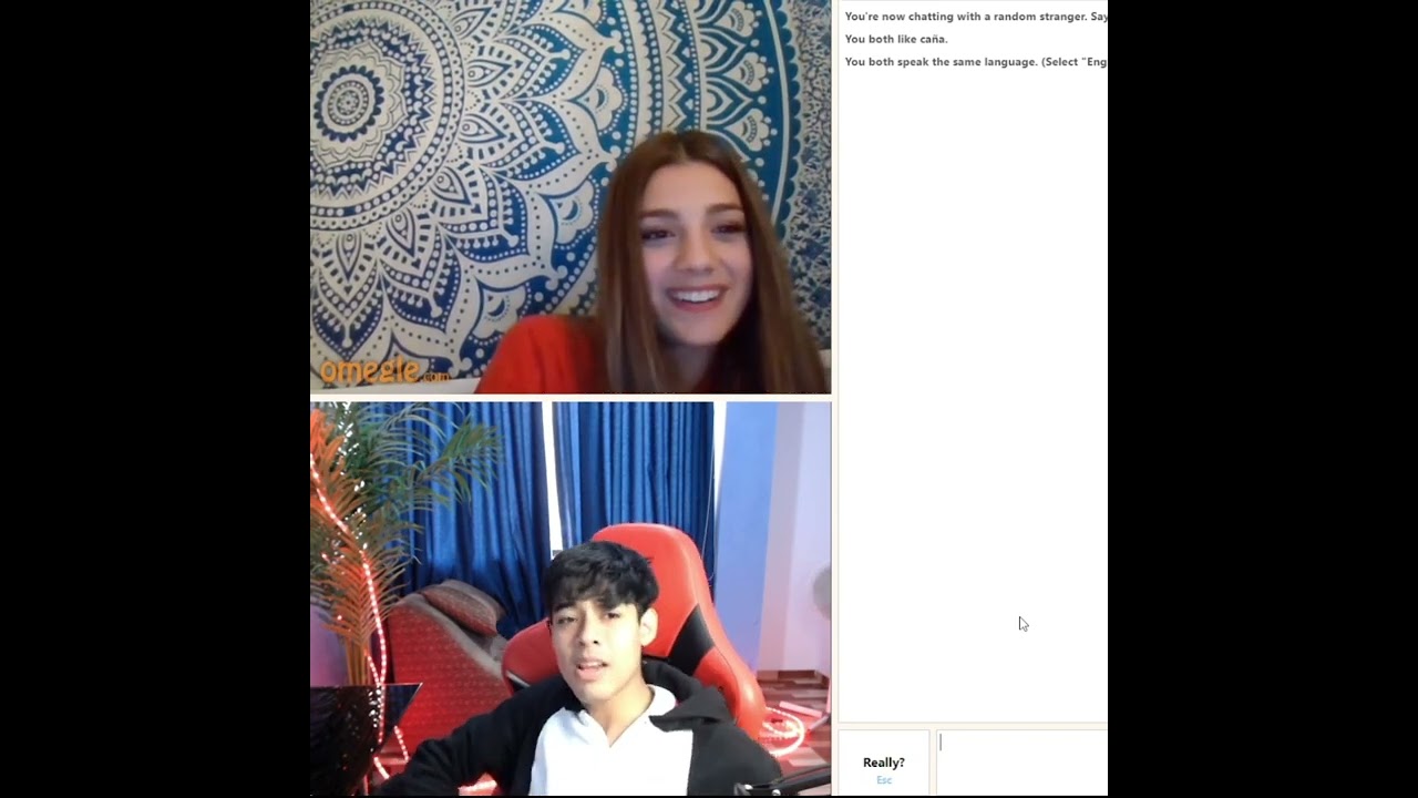 🥰CAÑITA SE ENCUENTRA CON EVA EN OMEGLE🥰 CAÑA LE CUENTA QUE PASO CON SUS DEMÁS AMIGAS! 😥  