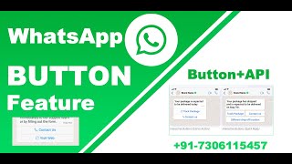 whatsapp button feature, new waziper update 2.0.3 button feature and api