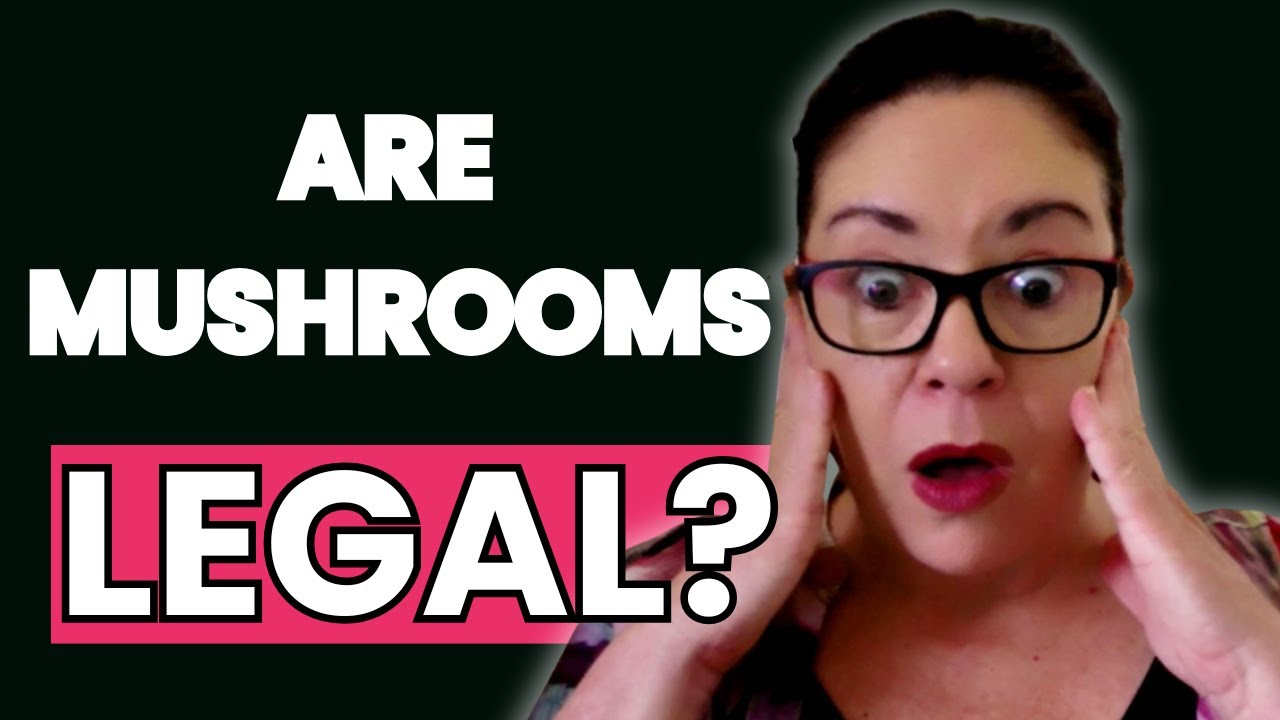 Beyond Diagnosis | Rita De Michele