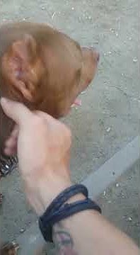 youtube.com
