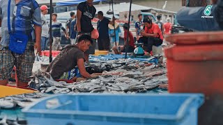 PETRONAS & Department of Fisheries Sabah: FAD Deployment