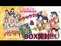 【ラブライブ！】キラキラカード&クリアホルダーセットBOX開封‼︎