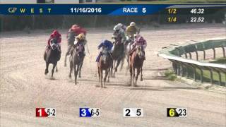Gulfstream Park West Race 5 | November 16th, 2016