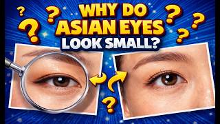 Why Do Asian Eyes Look Small.