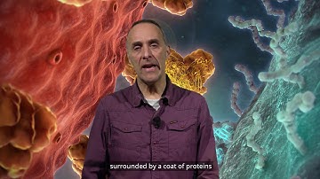 Short video: corona viruses in 3 minutes