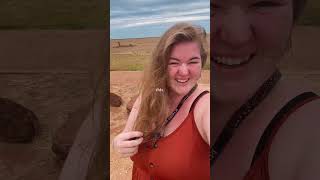 What makes you happy? #foryou #collectiveconsciousness #businesscoach