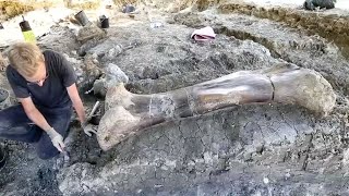 Chemistry 2, Part 39 How Old Is This Dinosaur? Radioactive Decay And Dating