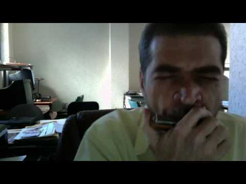 Guns N' Roses-Knocking On Heaven's Door with harmonica solo Alejandro Aguirre Desamaniego