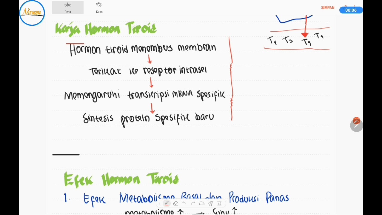 Apa itu hormon tiroid