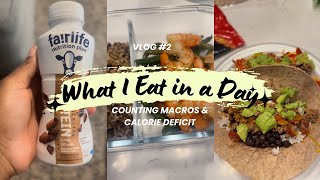 How to Lose the Lbs | Vlog #2 What I Eat in a Day Counting Macros & Calorie Deficit