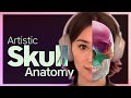 Artistic anatomy of the skull full course