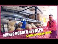 БРОЙЛЕРЫ НОВЫЙ ЗАВОЗ | ЗАПАХ В КУРЯТНИКЕ | МИНУС НОВОГО БРУДЕРА | Выращивание в домашних условиях