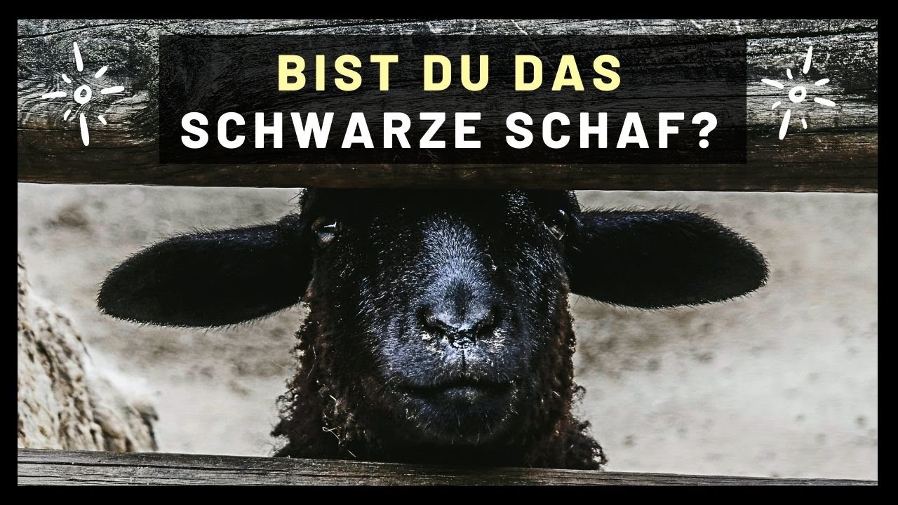 Bist du das SCHWARZE SCHAF deiner Familie? 🐑| Sündenbock-Rolle! - Geheilte Heiler!