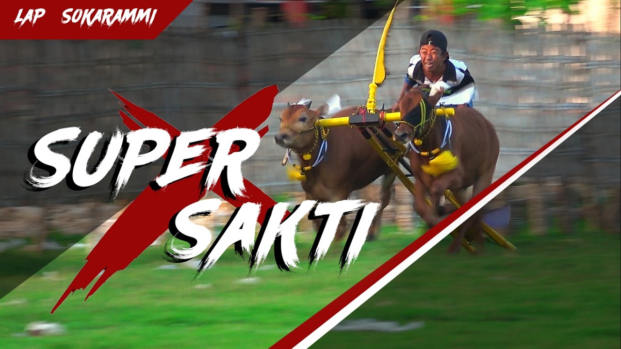 KILAT SAKTI | KECIL KECIL CABE RAWIT | KARAPAN SAPI PULAU SAPUDI