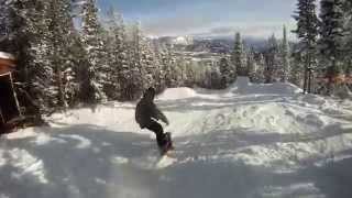 Freestyle Forest