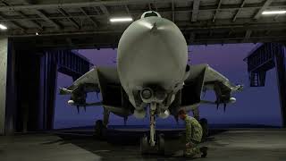 Hunting Massive Transports In The F-14D Tomcat!  ACE COMBAT 8 Mission 11