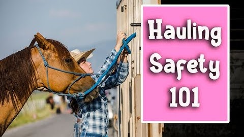 10 Tips for Hauling Horses Safely