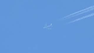 VID_5191 _1121221202119.mp4
