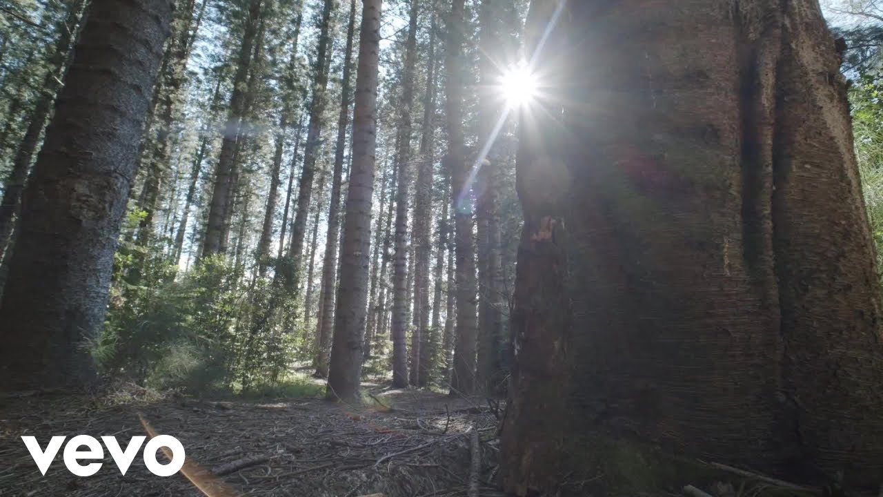 John Burn - The light of the forest (Official Music Video)