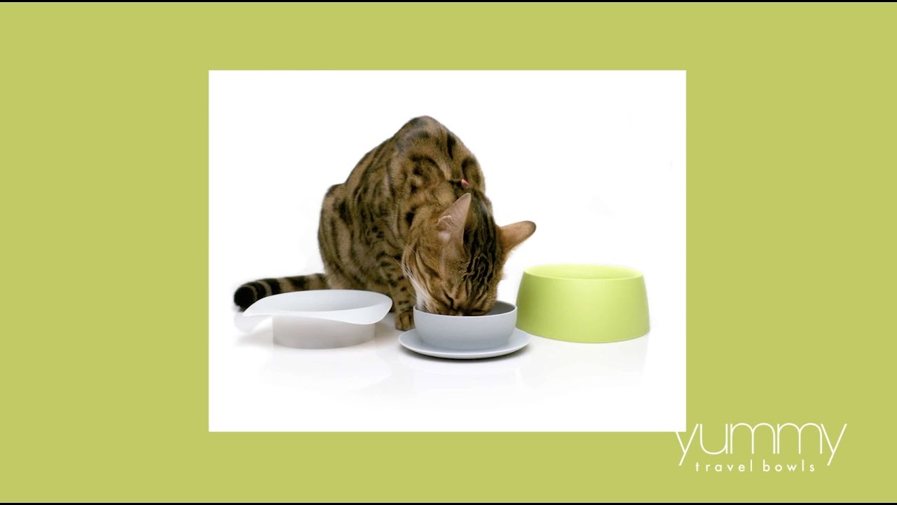 Yummy Travel Bowls for pets by Sleepypod - Instructional Video