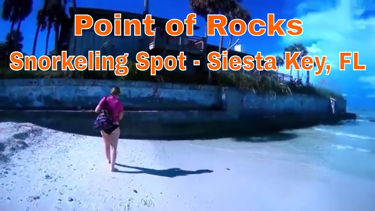 Snorkeling Point of Rocks Siesta Key, FL. How to get there... YouTube