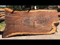 Milling giant Figured black walnut Log Into huge Slabs