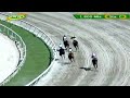 primate hipico Resumen completo carreras de caballos  #larinconada