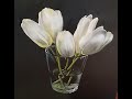 How to paint flowers in glass.