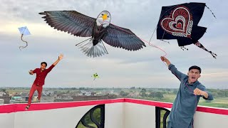 Eagle Kite Catch Abubaker Roof Vs Dil Kite Caught Beautiful Stani Kite
