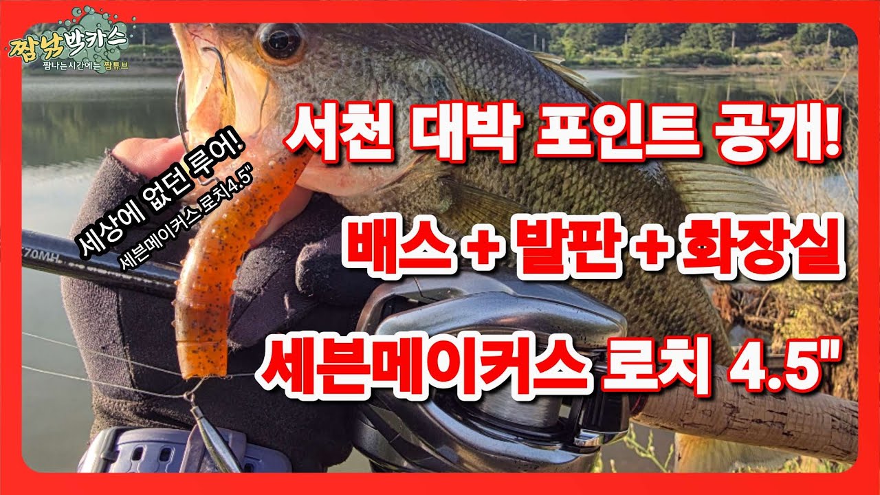배스낚시 충남 서천 대박포인트! 배스 발판 화장실! 프리리그 맛집! #프리리그 #신상웜 #세븐메이커스 #로치 #로치4.5 #fishing #배스낚시 #bassfishing